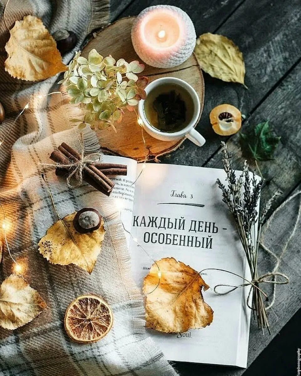 с добрым утром ноября. кофейные истории итальянской художницы cinzia bolognesi. уютное осеннее утро. картинки креативные доброе утро ноябрь. картинки креативные доброе утро ноябрь.