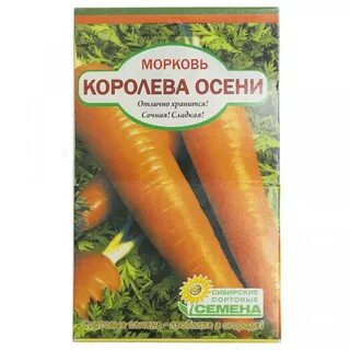 Морковь сорт королева осени отзывы