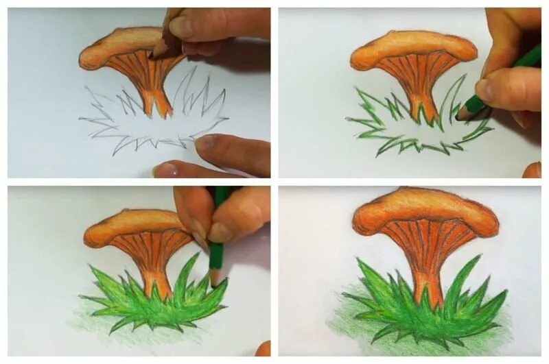 Грибы поэтапно. Как рисуется гриб Лисичка. Гриб Лисичка срисовать. Гриб Лисичка рисунок. Гриб Лисичка карандашом.
