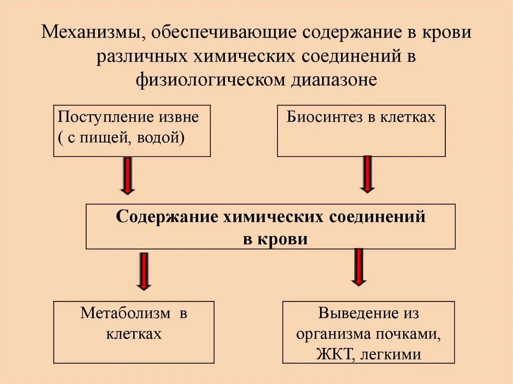 Содержимое предоставленное