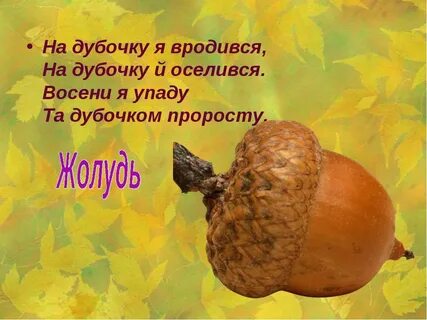 В золотой клубочек спрятался дубочек ответ