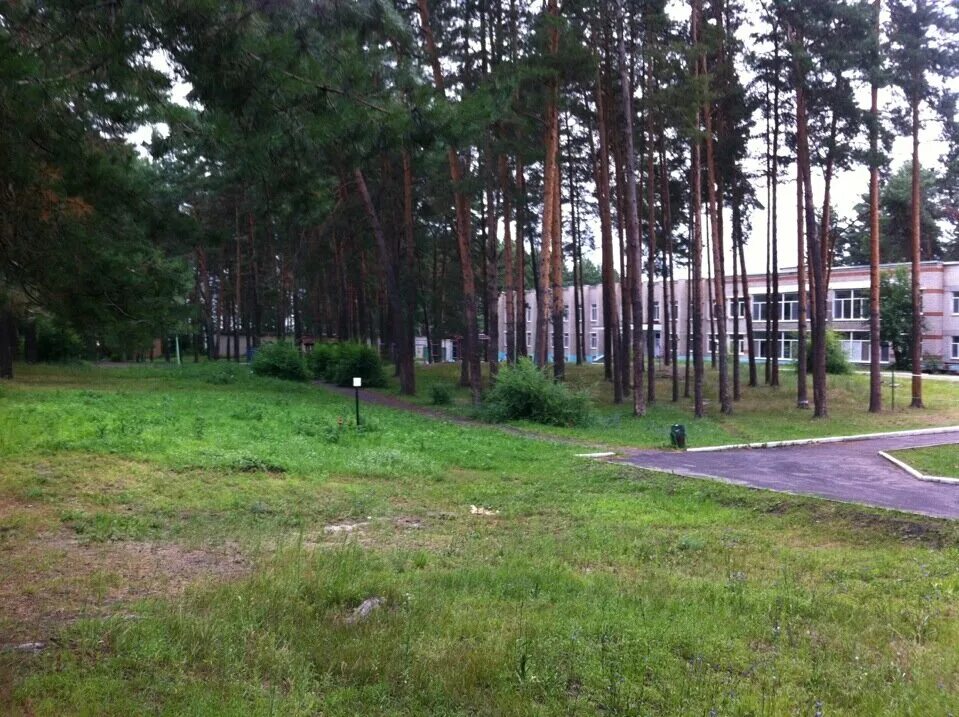 Сосновый бор санаторий ковылкино. Детский санаторий сосновый бор ковылкино. Ковылкино мордовия сосновый бор. Детский санаторий сосновый бор ковылкино. Сосновый бор санаторий ковылкино.
