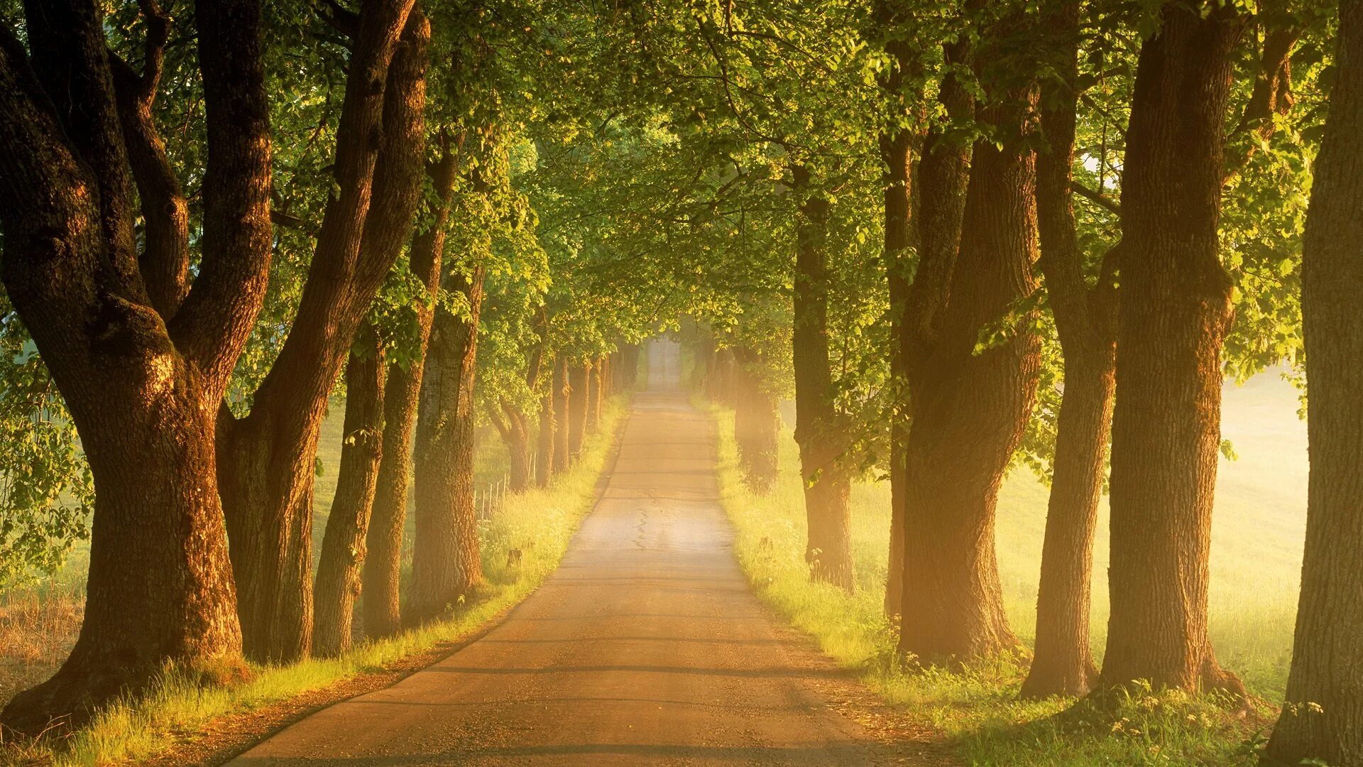 Path day