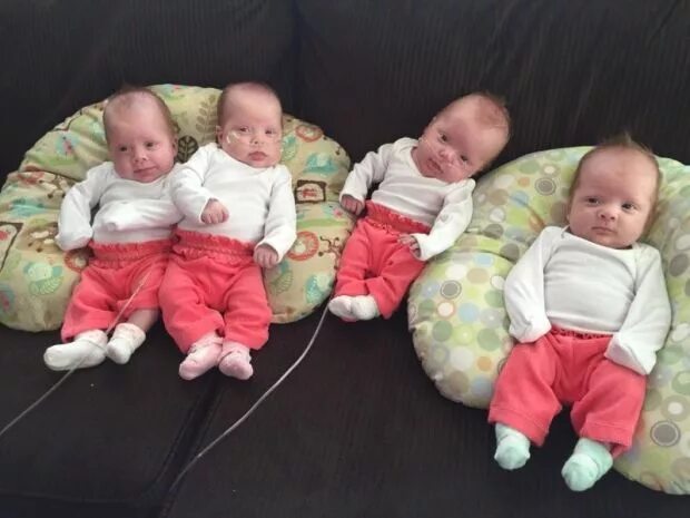 Двойняшки. Тройняшки шарлотсвилл. Двойня новорожденные. Тройняшки смит. Однояйцевые близняшки.