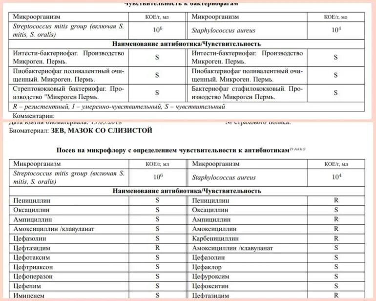 Стрептококк эпидермальный в мазке. Streptococcus vestibularis 10 в 5 степени. Streptococcus agalactiae в мазке у мужчин 10 в 4 степени.