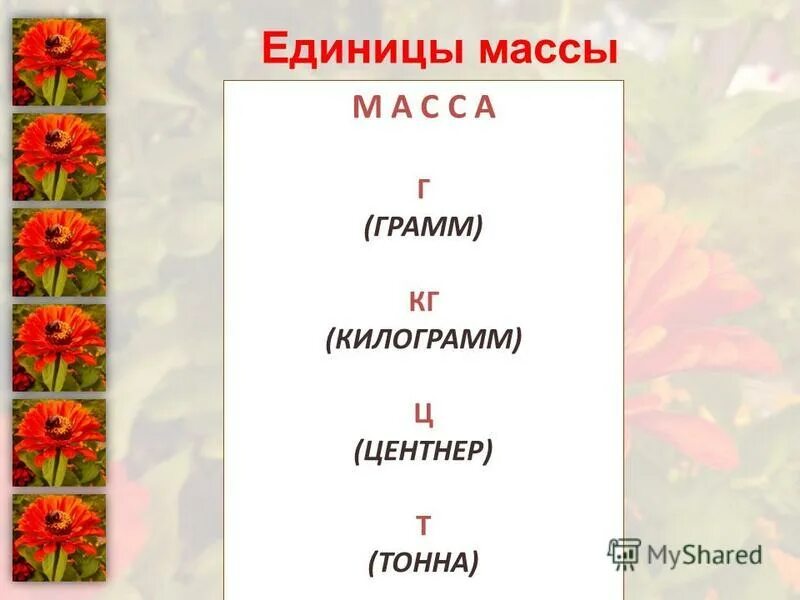 12 грамм в килограммах