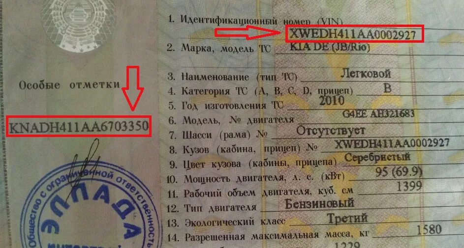 ПТС на Киа СИД корейский вин номер. ПТС автомобиля Киа Рио. ПТС авто Киа Рио. VIN номер мотоцикла в ЭПТС. Идентификационный номер vin отсутствует