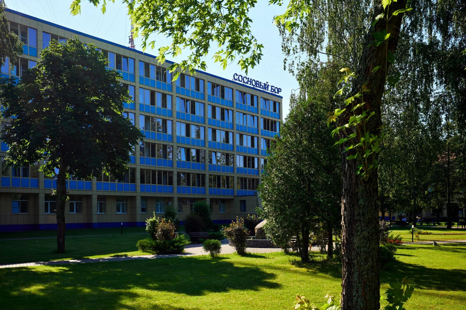 Санаторий сосновый бор белоруссия. Санаторий сосновый бор минская область. Сосновый бор минск санаторий. Пансионат сосны белоруссия. Сайт санатория сосновый бор белоруссии.