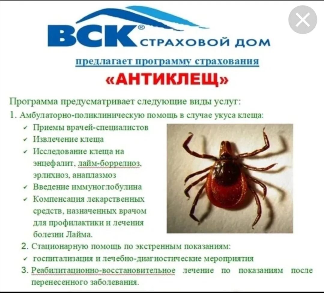 Программа антиклещ