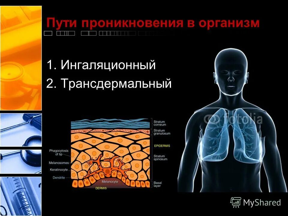 Вред сероводорода. Сероводород воздействие на организм человека. Пути проникновения в организм. Влияние сероводорода на человека. Сероводород токсическое воздействие.