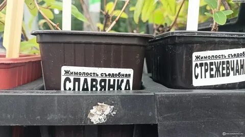 Садовый центр подворье