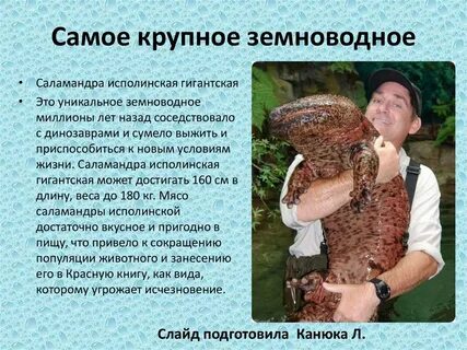 Слова исполинский