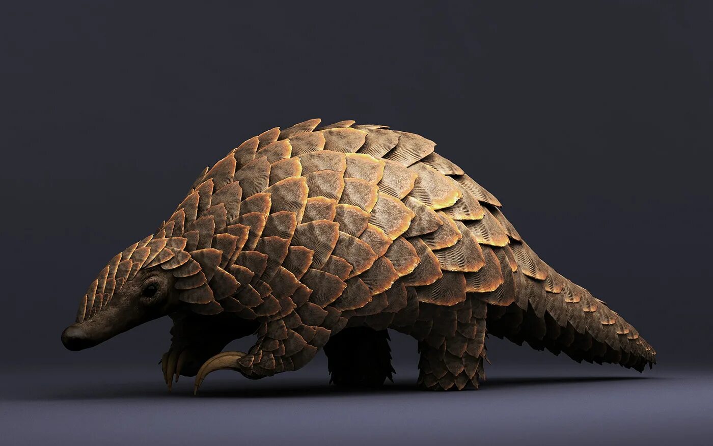 Pangolin