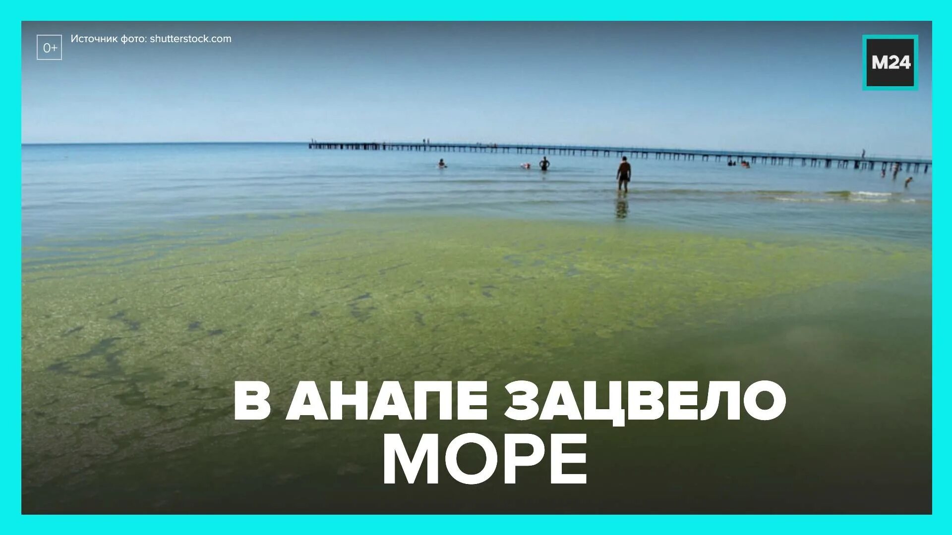 Море в анапе в июне 2024. Цветение моря. Анапа море цветет. В Анапе зацвело море. Море в Анапе в июне.