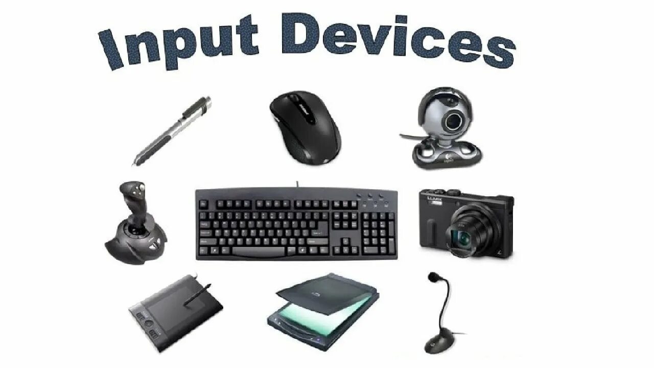 Input devices. Input devices