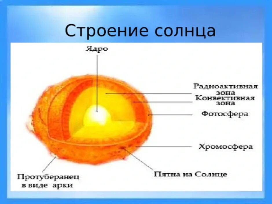 Внутреннее строение солнца атмосфера солнца. Внутреннее строение солнца 3 слоя. Основные слои внутреннего строения солнца. Внутреннее строение солнца схема. Внутренний слой атмосферы солнца