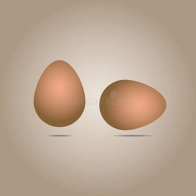 Почему яйца висят. Яйцо горизонтально. Яичко расположено горизонтально. Яйцо по вертикали.