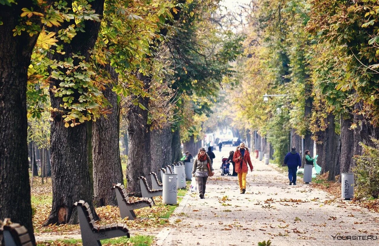 Прогулка по осеннему городу. Прогулки в парках. прогулка в городе. аллея с людьми. прогулка в парке города.