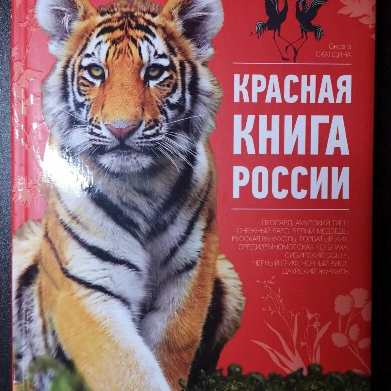 Т красная книга. Красная книга обложка. Обложка красной книги России. Красная книга России книга. Обложка красной книги РО.