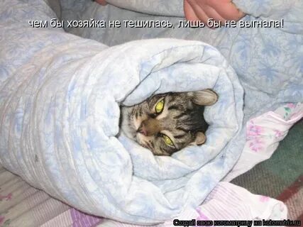 И в ней не нуждается