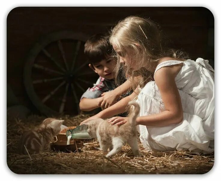 Говорят любопытство до добра. Художественная фотография сюжетная. Домашние животные для детей. Дети в деревне с животными. Девочка с котятами.