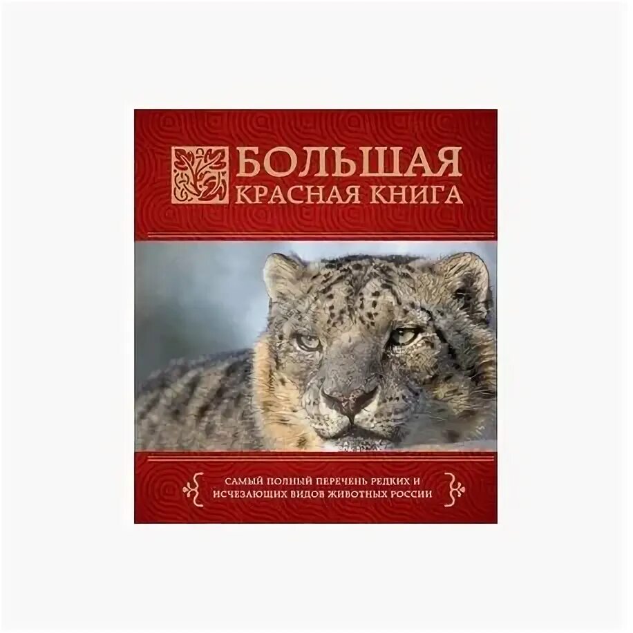 Как выглядит настоящая красная книга Красная книга России отзывы покупателей на Мегамаркет
