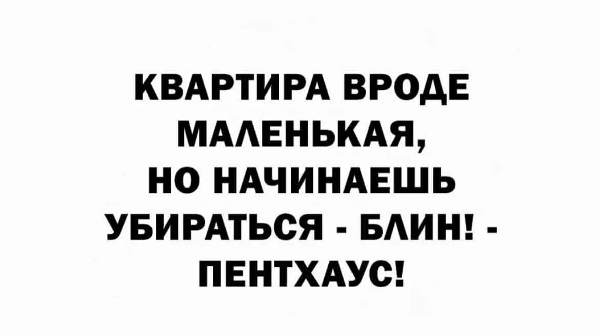 Вроде не маленький. Квартира вроде маленькая начинаешь убираться блин пентхаус. Вроде квартира небольшая как начнешь убираться пентхаус. Вроде, квартира маленькая, но, как начнешь прибираться- пентхаус. Квартира вроде маленькая но как начинаешь убираться.