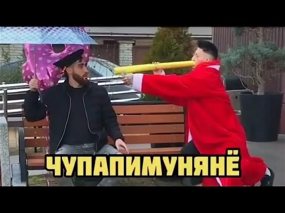 Чупапи муняню чупапи муняне чупапи муняню. Чупапи муняня. мемы чупапи муняня. чупапи муняня обезьяна. школа имени чупапи муняню.