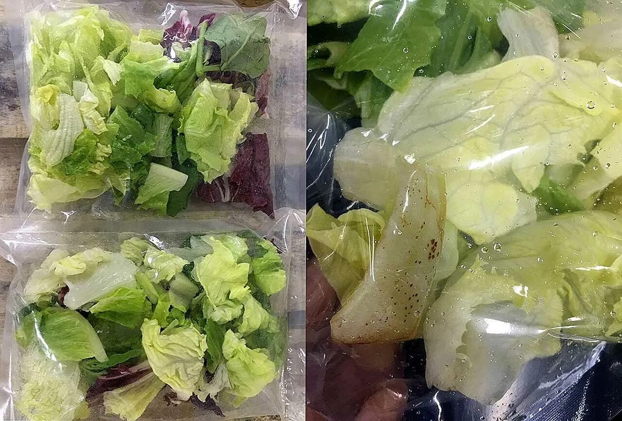 Сколько хранить салат в холодильнике. Салат Айсберг. Салатный лист Айсберг. Салат листовой Айсберг. Салатные листья на зиму.