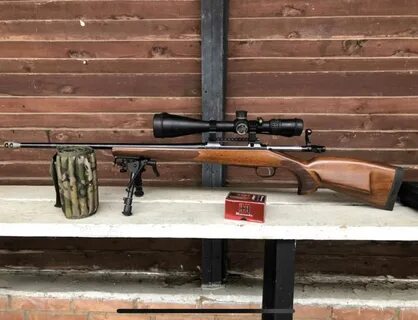 Cz 308 win