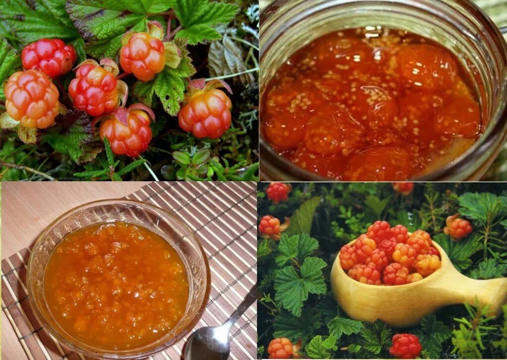 Морошка на зиму без варки рецепты. Моченая морошка. морошка варенье. морошка ягода варенье. джем из морошки.