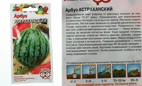 Арбуз астраханский описание сорта
