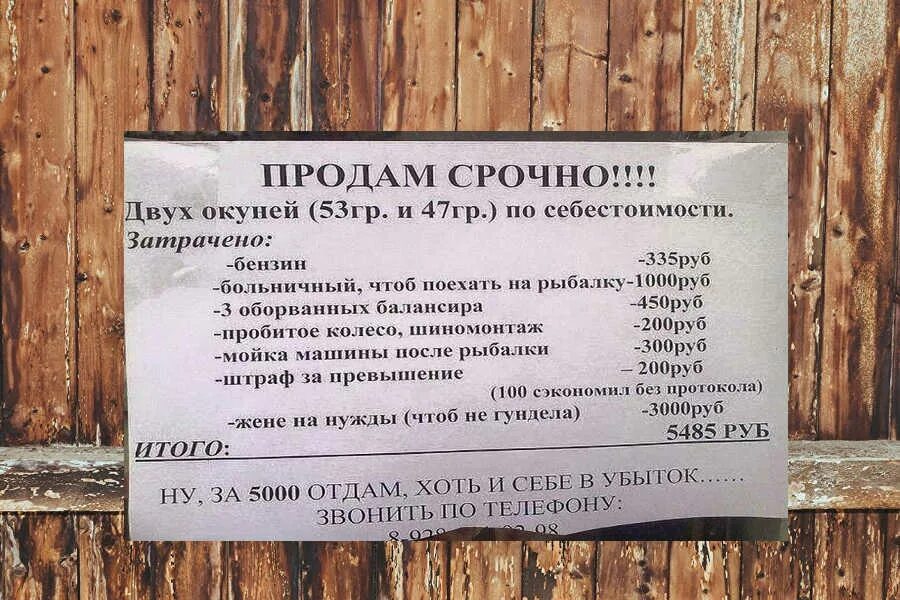 Продаю по себестоимости прикол. Анекдот продам двух окуней по себестоимости. Смешные фото объявлений о продаже. Продам окуня по себестоимости прикол. Продам двух окуней по себестоимости прикол.