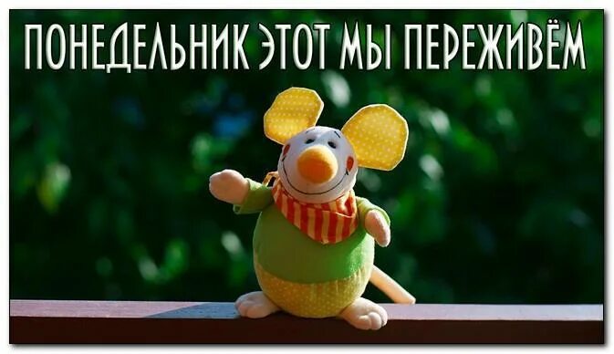 Смешные открытки с добрым утром с понедельником