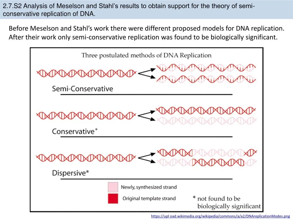 Принципы редупликации днк. Модели репликации. Типы репликации днк. Консервативный полуконсервативный репликации днк. Типы репликации днк.