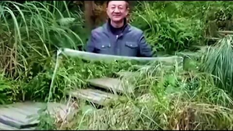 Есть ли невидимка