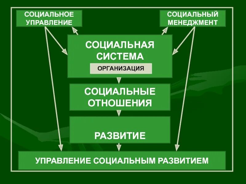 Управление социальное управление соотношение. Социальное развитие организации. Управление социальным развитием. Процесс управления социальным развитием. Развитие управления социальными процессами в организации.