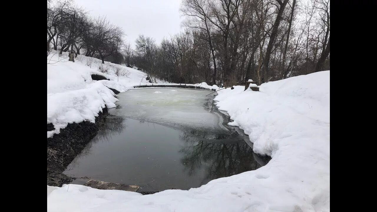 Зимует на незамерзающих водоемах