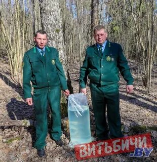 Лесничество беларусь