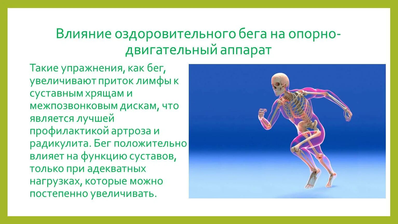 Значение физических упражнений для формирования скелета. Опорно двигательный аппарат. бег и опорно двигательный аппарат. влияние бега на опорно двигательную систему. влияние упражнений на опорно двигательный аппарат.