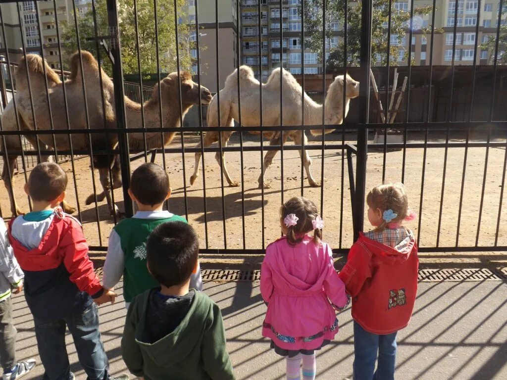 Посещение зоопарка средняя группа. Дети в зоопарке. Экскурсия по зоопарку для детей. Прогулка в зоопарк. Зоопарк экскурсия детская.