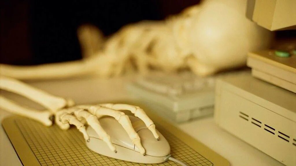 секретарь в офисе. она тоже на работе. прикольные картинки про работу. шутки про программистов. уставшая женщина в офисе.