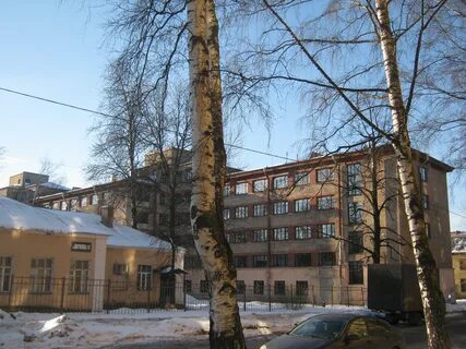 Парголовская 8 санкт петербург