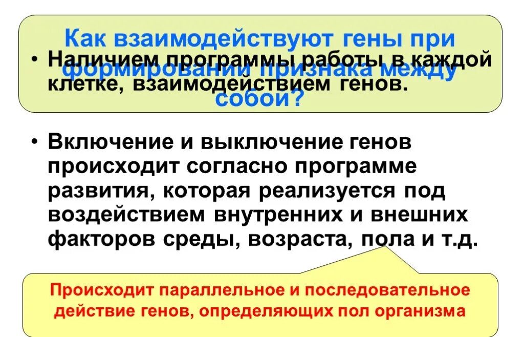 Признаки обусловленные генотипом. Взаимодействует при формировании признаков. Взаимодействие генотипа и среды при формировании признака. Механизмы включения и выключения генов. Как гены взаимодействуют между собой.