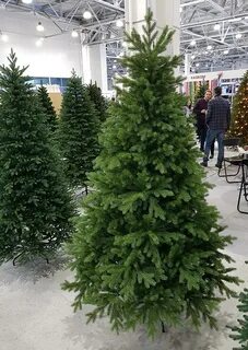 Max christmas отзывы