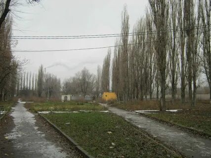 Воронеж парковый поселок воронеже