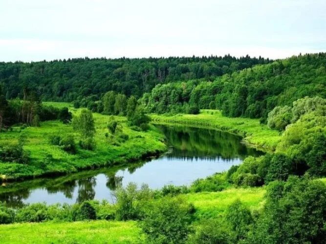Природа моего края" - экскурсия на поляне. 2025, Чистопольский район - дата и ме