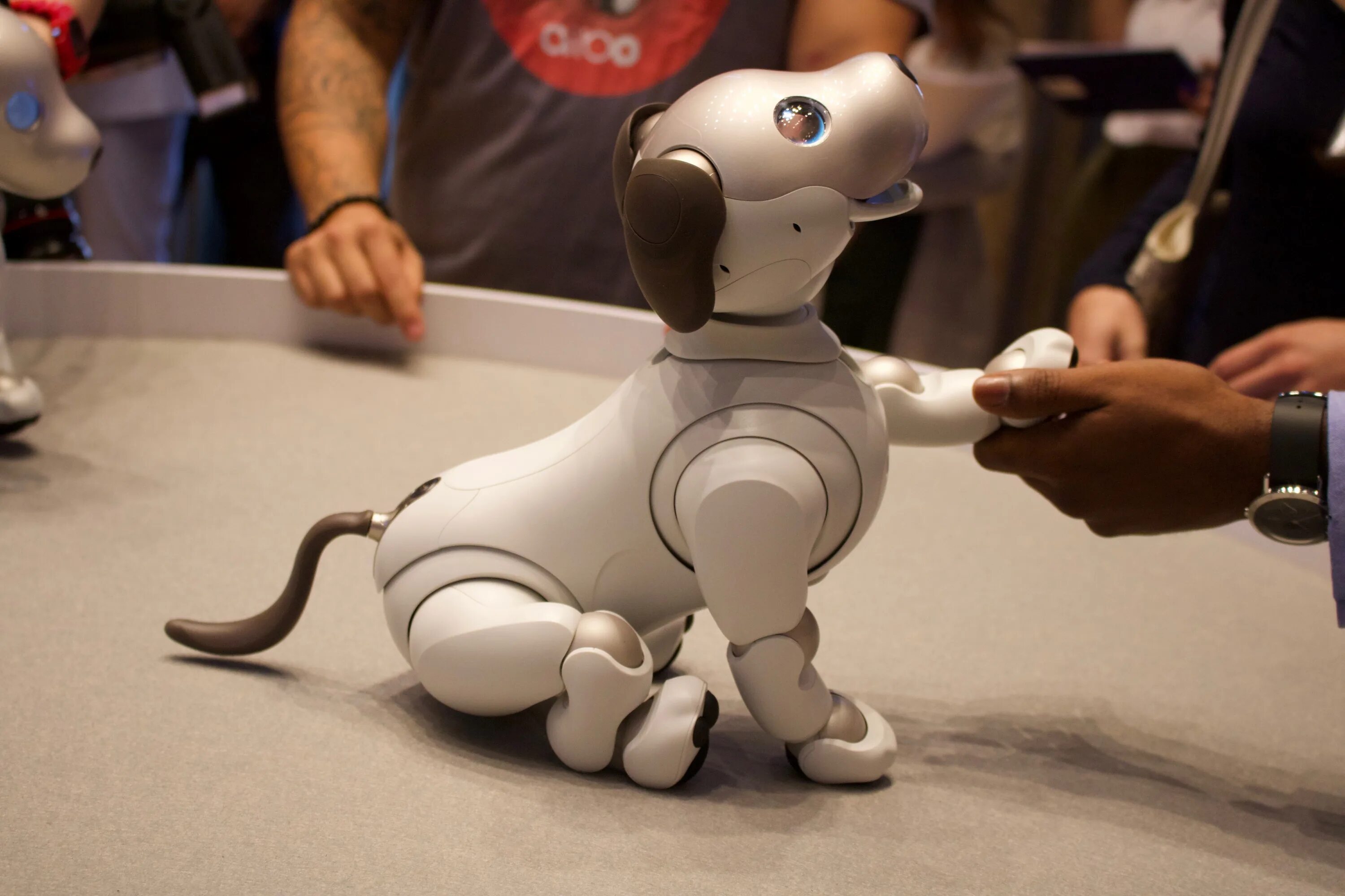 Роботы собаки на открытии игр. Робот собака Aibo. Айбо робот 1999. Sony Aibo. Робот Sony Aibo Latte.