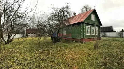 Погода в рябово тосненского