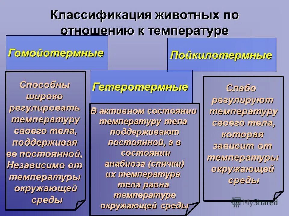 Экологические группы 6 класс биология